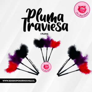 Pluma Traviesa Unidad